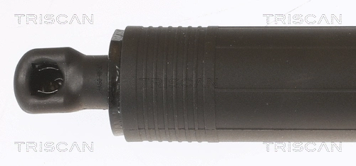 Gas Spring, boot/cargo area