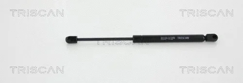 Gas Spring, boot/cargo area (8710 23220)