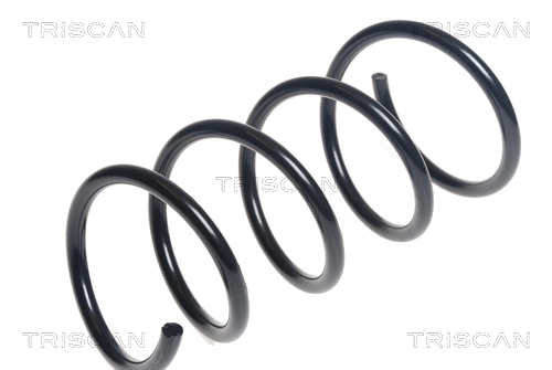 Suspension Spring (8750 25125)