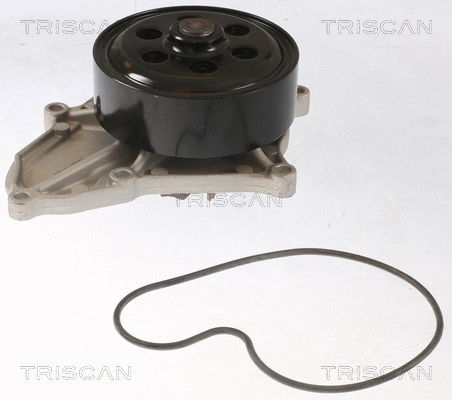 Water Pump, engine cooling (8600 40018)