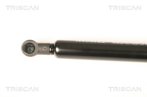 Gas Spring, boot/cargo area
