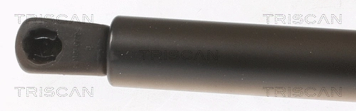 Gas Spring, boot/cargo area