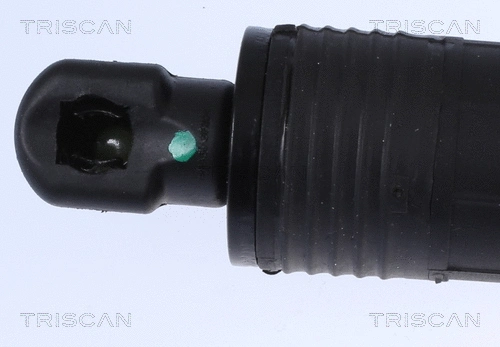 Gas Spring, boot/cargo area