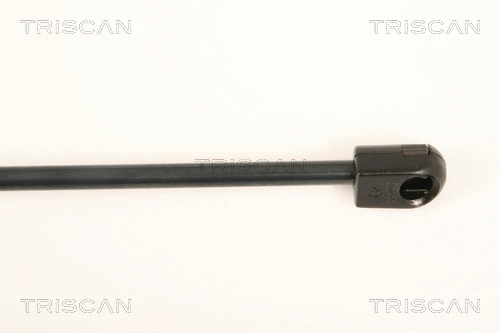 Gas Spring, bonnet