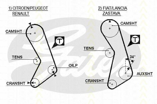 Timing Belt