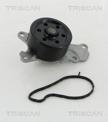 Water Pump, engine cooling (8600 10039)