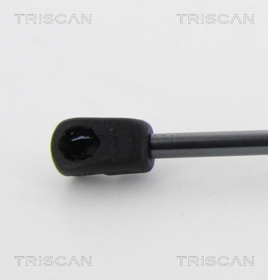 Gas Spring, bonnet