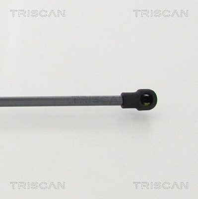 Gas Spring, boot/cargo area