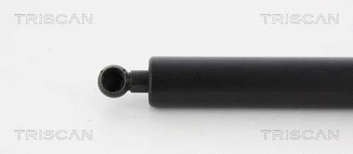 Gas Spring, boot/cargo area
