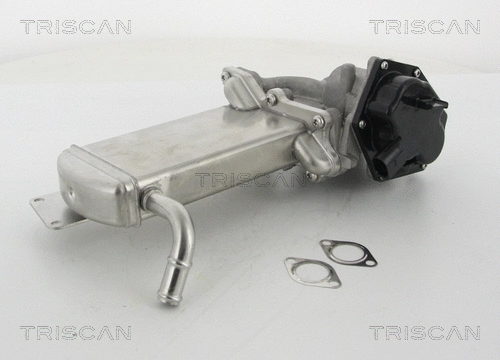 EGR Valve (8813 29305)