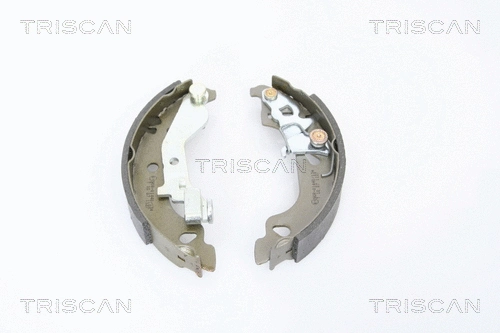 Brake Shoe Set (8100 15018)