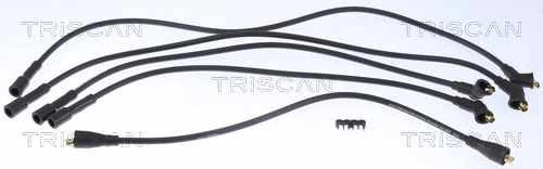 Ignition Cable Kit (8860 4007)