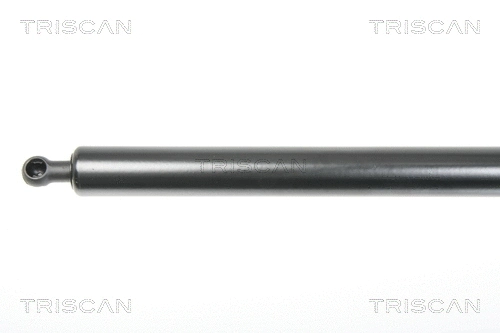 Gas Spring, boot/cargo area