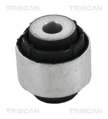 Mounting, control/trailing arm (8500 118000)