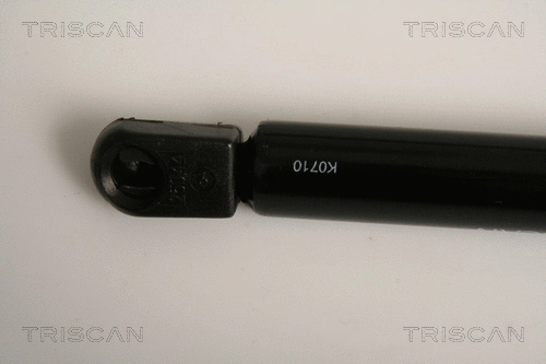 Gas Spring, boot/cargo area