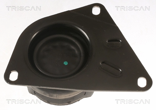 Mounting, engine