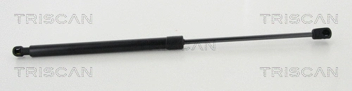 Gas Spring, boot/cargo area (8710 25274)