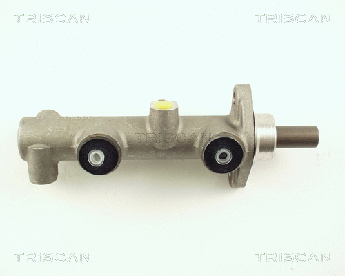 Brake Master Cylinder (8130 29105)