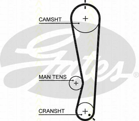 Timing Belt Kit