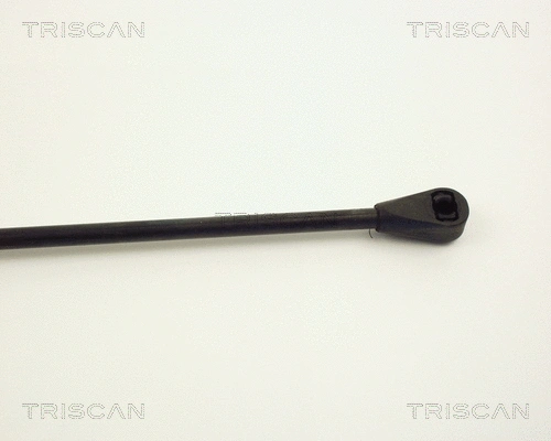 Gas Spring, boot/cargo area