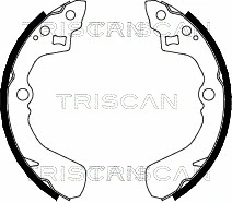 Brake Shoe Set (8100 10524)