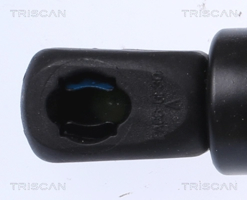 Gas Spring, boot/cargo area