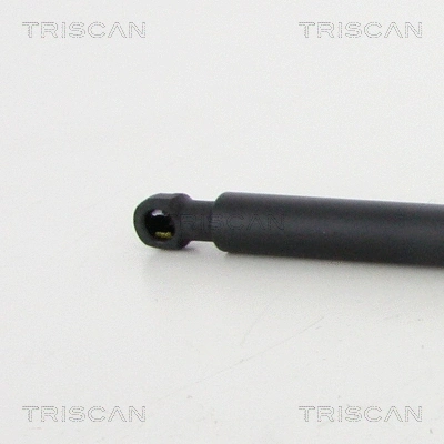Gas Spring, boot/cargo area