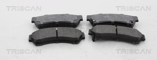 Brake Pad Set, disc brake (8110 50029)