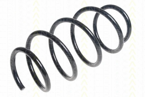 Suspension Spring (8750 25119)