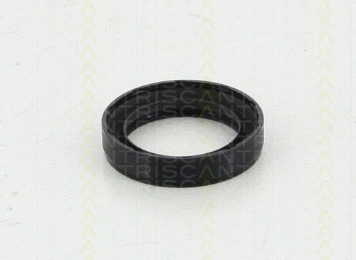 Shaft Seal, crankshaft (8550 10050)