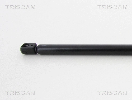 Gas Spring, boot/cargo area