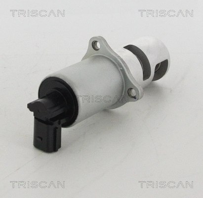 EGR Valve (8813 10100)