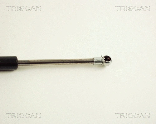 Gas Spring, boot/cargo area