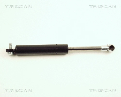 Gas Spring, boot/cargo area (8710 25212)