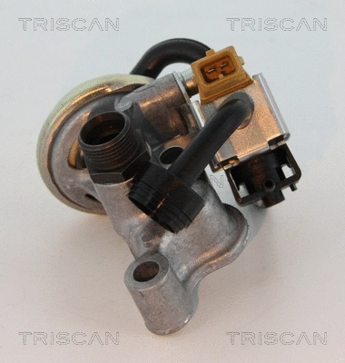 EGR Valve (8813 23005)