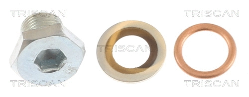 Screw Plug, oil sump