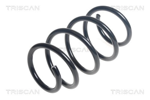 Suspension Spring (8750 29430)