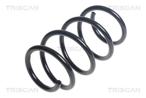 Suspension Spring (8750 29431)
