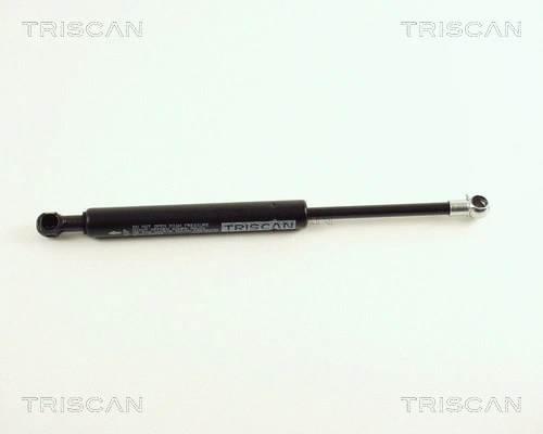 Gas Spring, boot/cargo area (8710 29210)