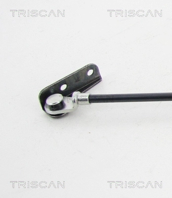 Gas Spring, boot/cargo area