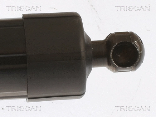 Gas Spring, boot/cargo area