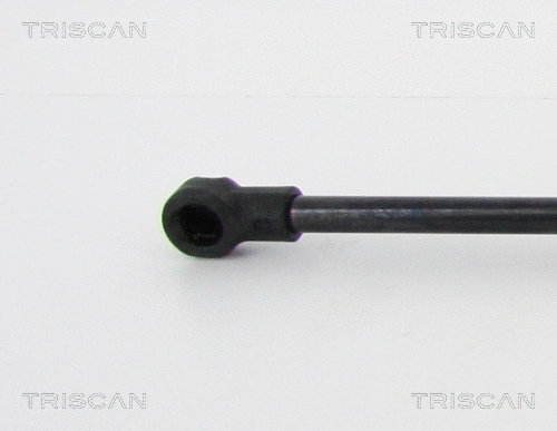 Gas Spring, boot/cargo area