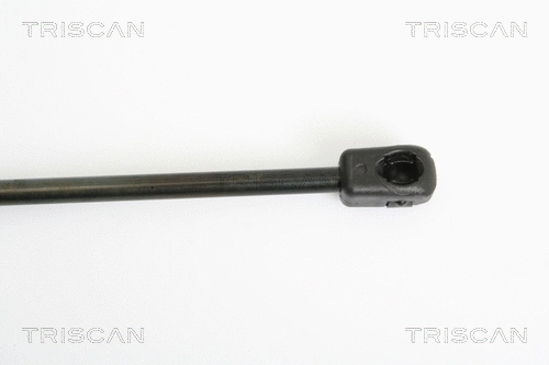 Gas Spring, boot/cargo area