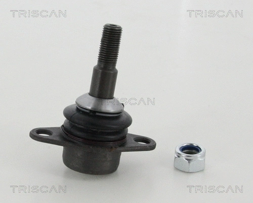 Ball Joint (8500 115053)