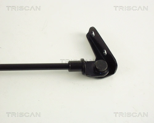 Gas Spring, boot/cargo area