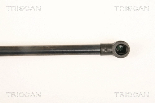 Gas Spring, boot/cargo area