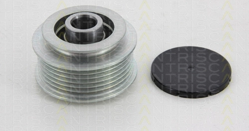 Alternator Freewheel Clutch (8641 294019)