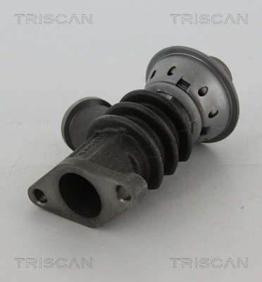 EGR Valve (8813 28100)