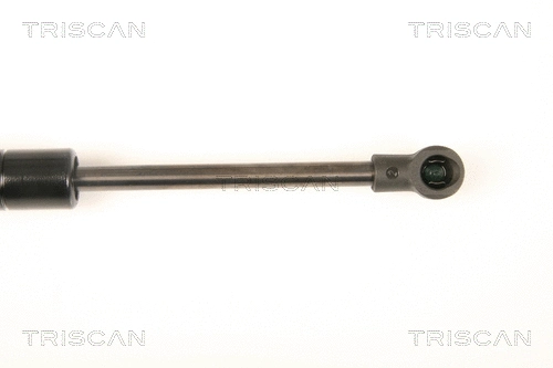 Gas Spring, boot/cargo area
