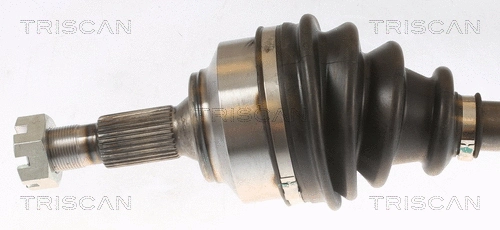 Drive Shaft